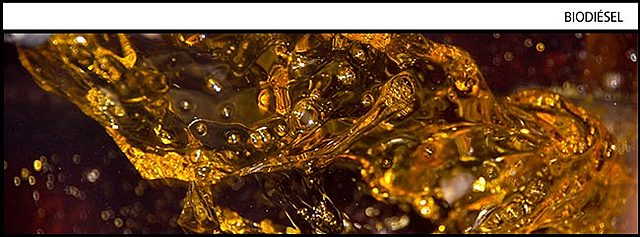 Decreto 2328 de 2008