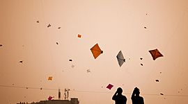 Timeline: Kite Runner & the History of Afghanistan by: Natalie Lin