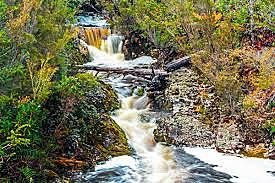 Articulo 328 decreto 2811 de 1979