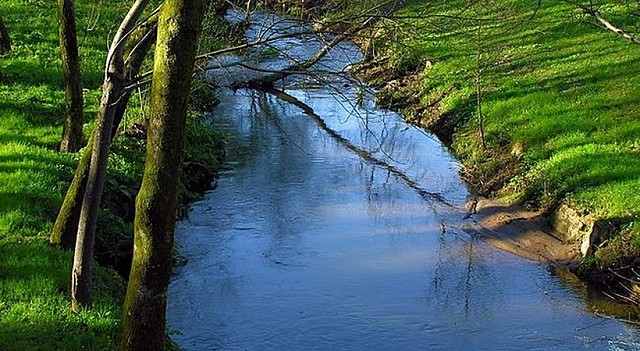 Declaración de ríos sobre el medio ambiente
