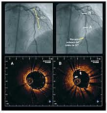 Resolución 0376 de 2016