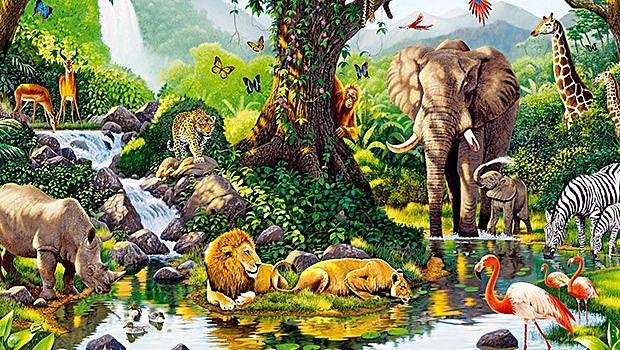 Política Nacional de Biodivercidad