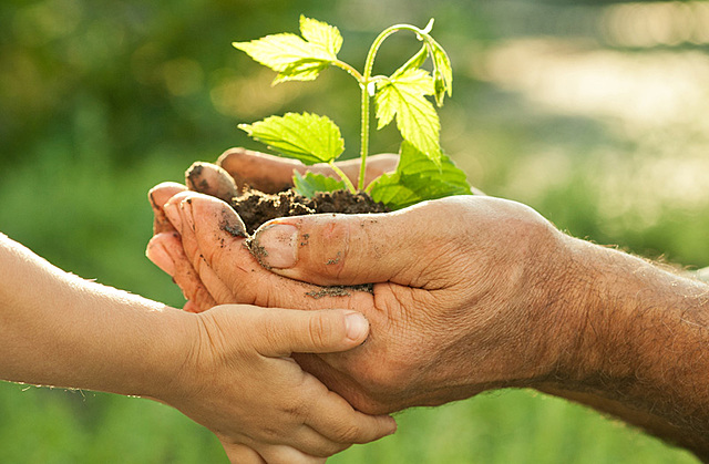 Constitución Política de Colombia