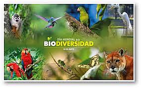 CONVENIO SOBRE LA DIVERSIDAD BIOLÓGICA