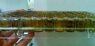 Resolución No. 1071 de 2019