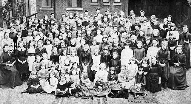 1893 NEA established high school curriculum