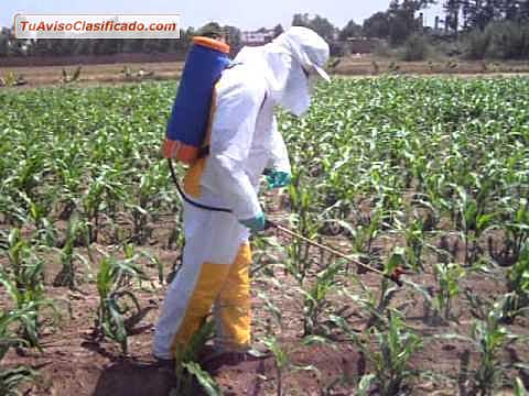 Uso y Manejo de Plaguicidas Decreto 775 de 1990