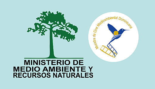 SINA Sistema Nacional Ambiental Ley 99 de 1993