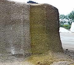 Resolución No. 1324 de 2019