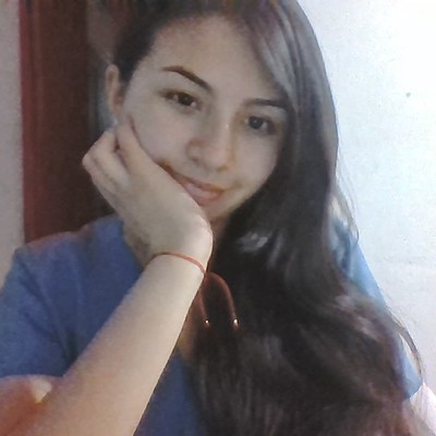 Timeline: Marco Ambiental Colombia- Mayen Yuliana Meza Quintero, La Unión, Nariño