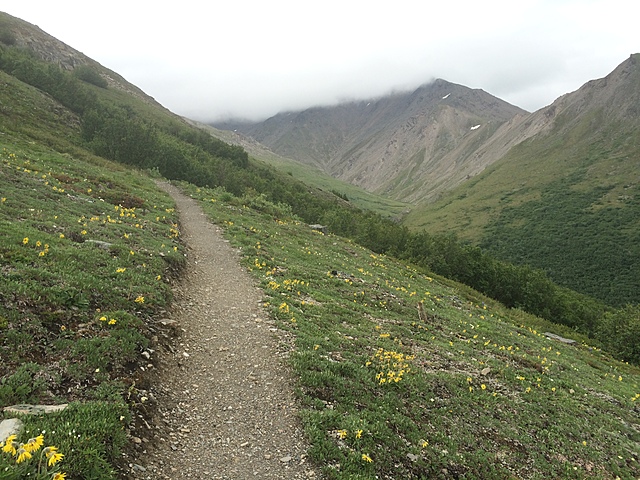 Mi sueño momentario