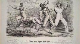 Timeline: Diminishing Projects QLMS