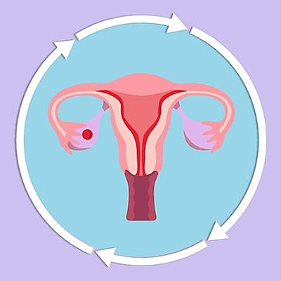 Timeline: MENSTRUACIÓ