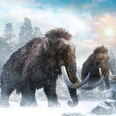 Timeline: ETAPES DE LA HISTORIA