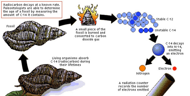 RadioMetric Dating