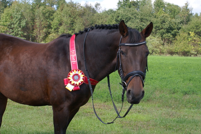 My First Neck Ribbon