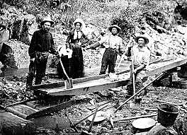 The California Gold Rush