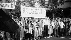 Megalakul a Szabad Kezdeményezések Hálózata