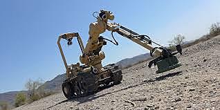 Mine detection robots