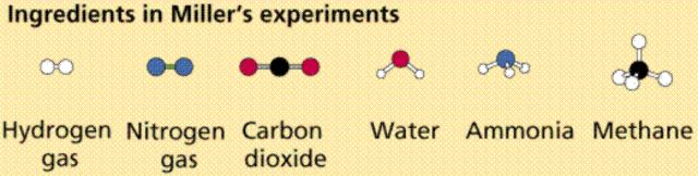 Urey and Miller Experiment (1953)