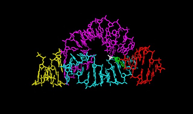 Thomas Czech and RNA (1980s)