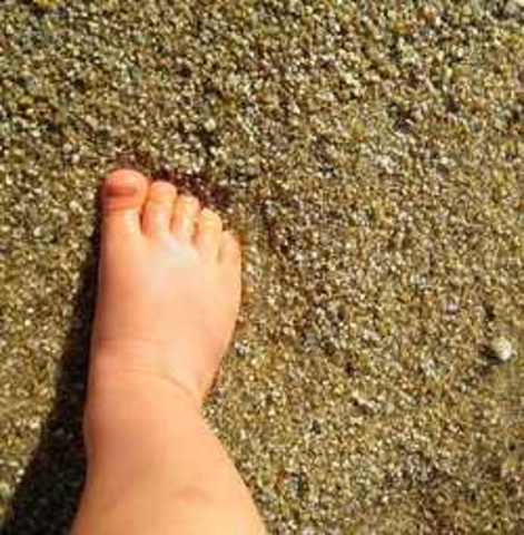 First Steps & First Birthday