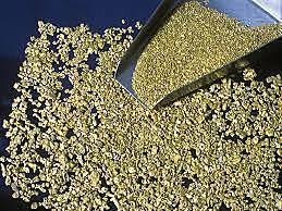 California Gold Rush