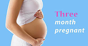 3 months of pregnancy