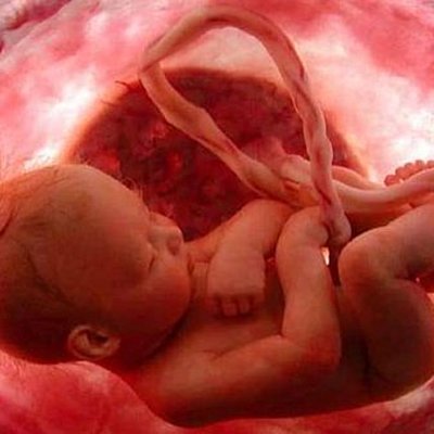 Timeline: 9 months of pregnacy