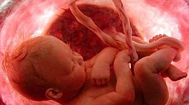 Timeline: 9 months of pregnacy