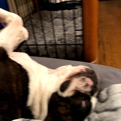 Timeline: Kite Runner Reading Log Timeline