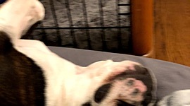 Timeline: Kite Runner Reading Log Timeline