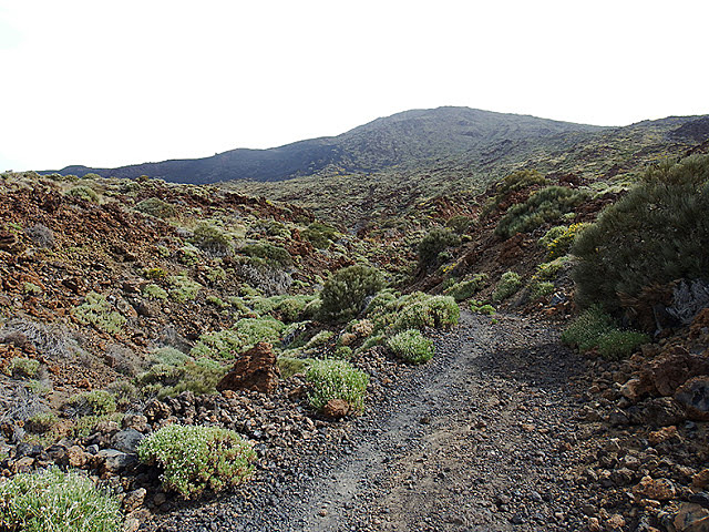 ¿Laderas SW de pico Viejo?