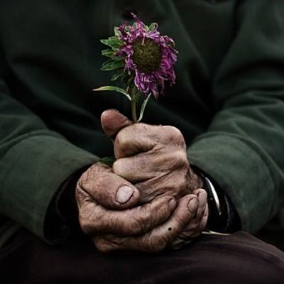 Timeline: Mi Vida de Ochenta Años