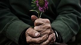 Timeline: Mi Vida de Ochenta Años