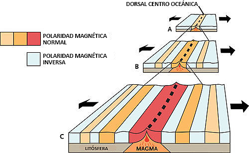 Frederick Vine & Drummond Matthews