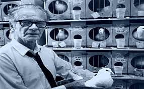 EXPERIMENTO DE SKINNER CON PALOMAS