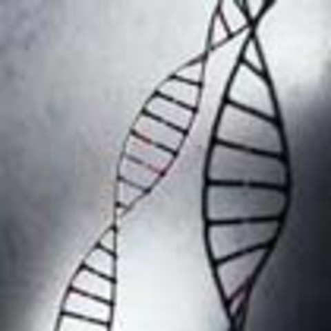 First isolation of DNA