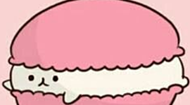 Timeline: Book project