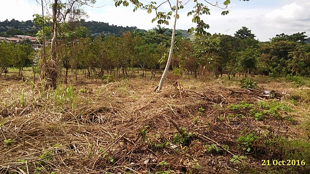 Intrusión a Propiedad Privada empieza