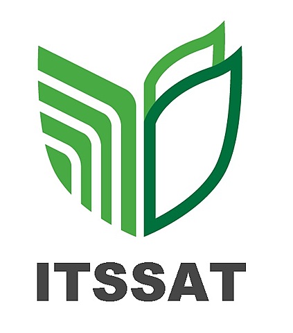 INICIO COMO CARRERA EN EL TECNOLÓGICO