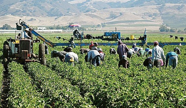 Propuestas de su gobierno