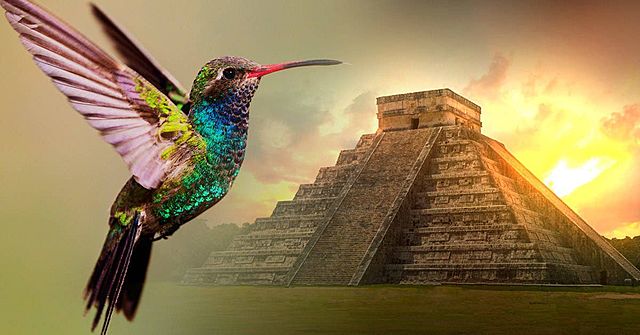 The Mayan hummingbird