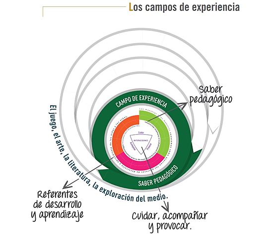 Los campos de experiencia