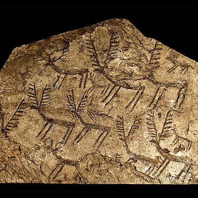 Timeline: Etapes de la història