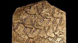 Timeline: Etapes de la història