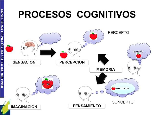 1844, MANUEL ANCIZAR.