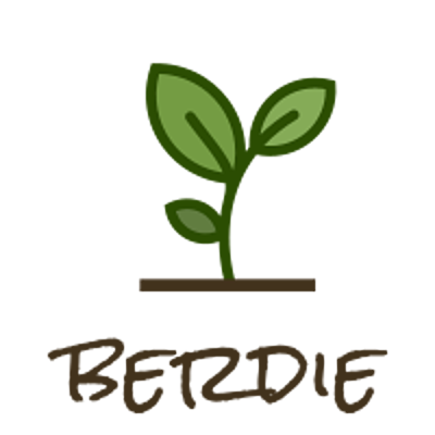 Timeline: TRAINERUA ERAIKITZEN