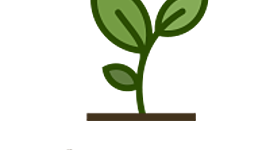 Timeline: TRAINERUA ERAIKITZEN