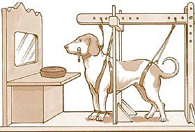 EXPERIMENTO PERRO-COMIDA-SALIVACIÓN DE PAVLOV
